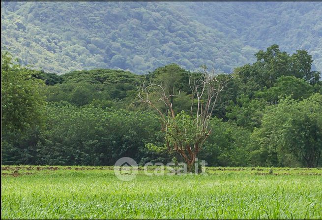 Terreno agricolo in commerciale in Via Palù
