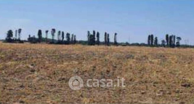 Terreno agricolo in commerciale in Contrada Santa Teresa