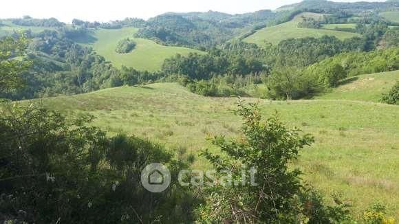 Terreno agricolo in commerciale in Via Maciolla