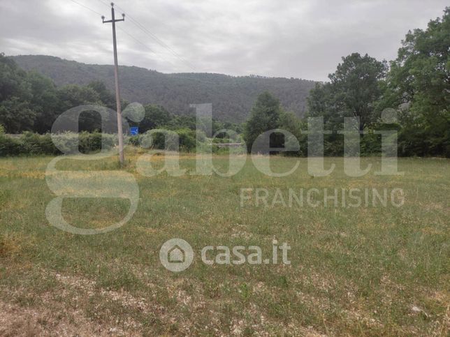 Terreno agricolo in commerciale in Località Napoletto