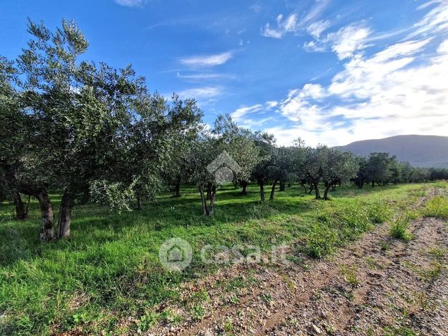 Terreno agricolo in commerciale in 