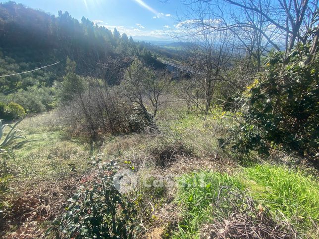 Terreno agricolo in commerciale in Frazione Poggio