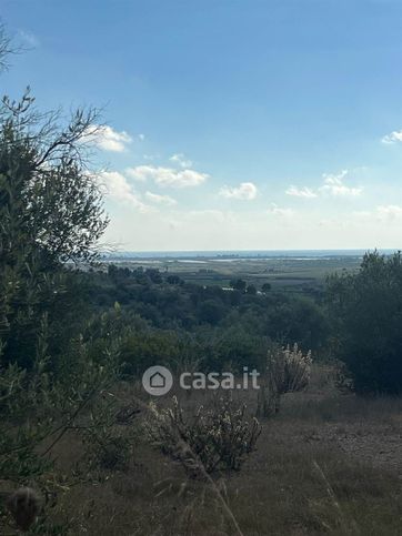 Terreno agricolo in commerciale in Contrada Agliastro