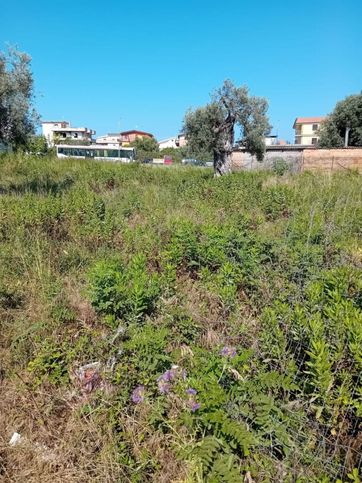 Terreno agricolo in commerciale in Via Mediterraneo 12