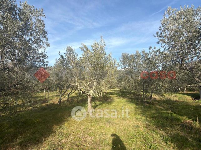 Terreno agricolo in commerciale in Strada Comunale Monte Lignano