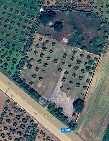 Terreno agricolo in commerciale in Strada Provinciale 231