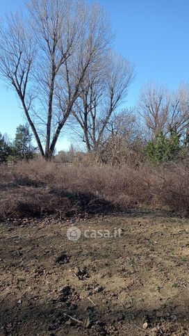 Terreno agricolo in commerciale in Via Elio Vittorini 34