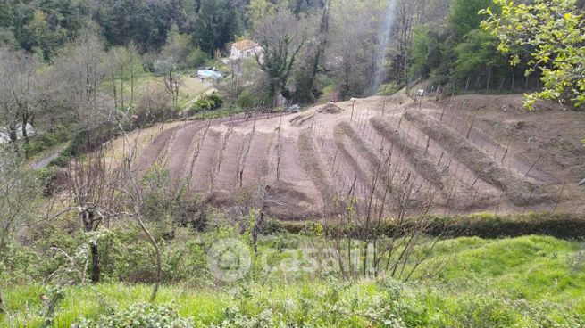 Terreno agricolo in commerciale in