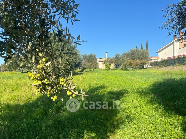 Terreno agricolo in commerciale in Via dei Meli