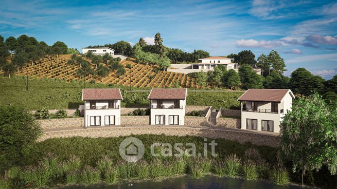 Terreno agricolo in commerciale in Strada Colle Pizzuto 34