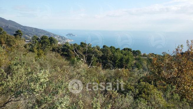 Terreno agricolo in commerciale in 