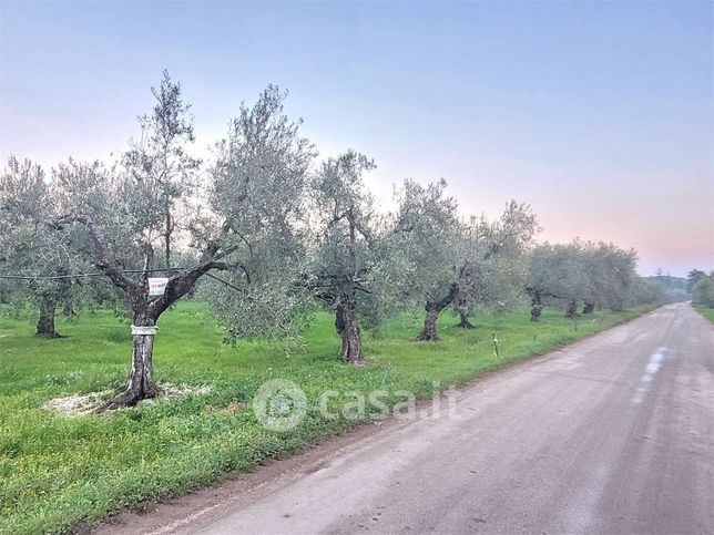 Terreno agricolo in commerciale in Strada Comunale San Marco