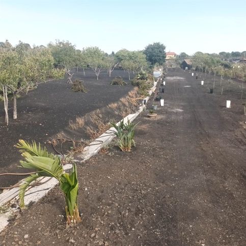 Terreno agricolo in commerciale in 