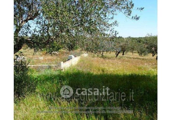 Terreno agricolo in commerciale in Contrada Noce Marfisa