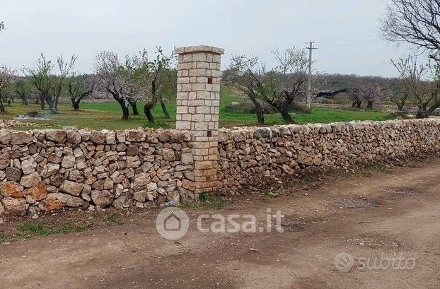 Terreno agricolo in commerciale in 