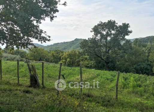 Terreno agricolo in commerciale in Via di Vezzano