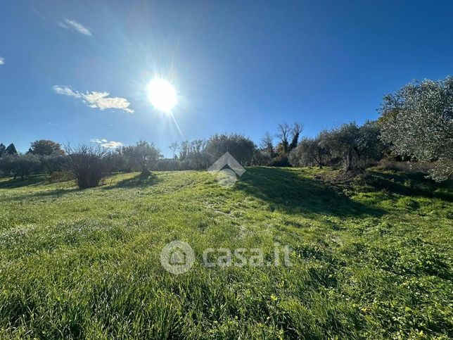 Terreno agricolo in commerciale in