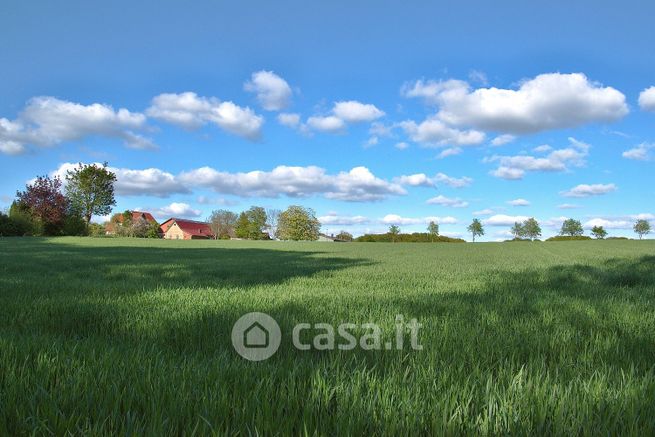 Terreno agricolo in commerciale in Via della Portichina