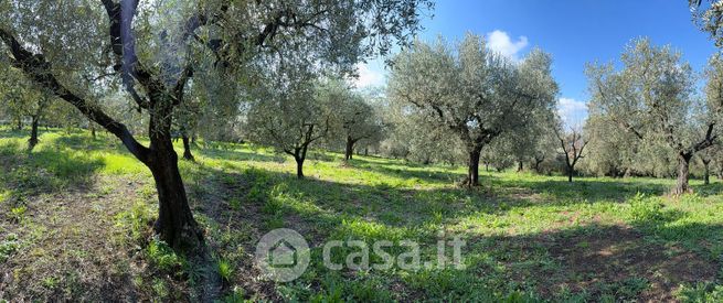 Terreno agricolo in commerciale in 