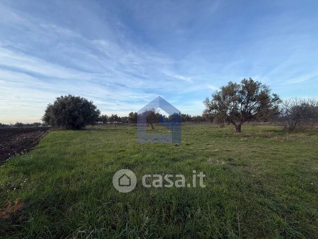 Terreno agricolo in commerciale in Contrada Villa Stanazzo