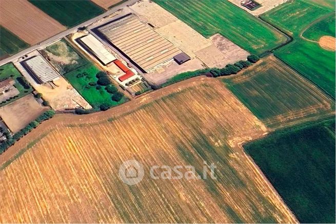 Terreno agricolo in commerciale in Via Postale Vecchia