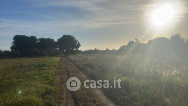 Casa indipendente in residenziale in Via Masseria Piccinna