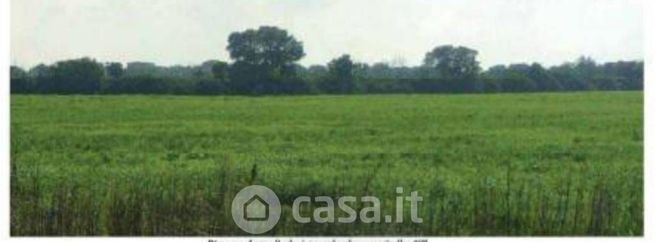 Terreno agricolo in commerciale in Contrada Santa Teresa