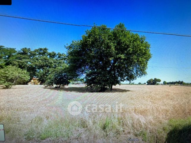 Terreno agricolo in commerciale in Via Metauro