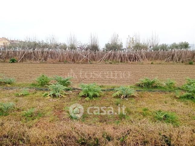 Terreno agricolo in commerciale in Via Gaetano Donizetti