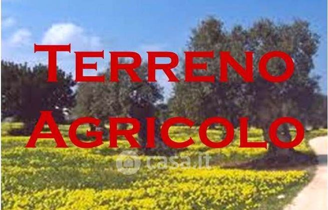 Terreno agricolo in commerciale in 