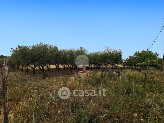 Terreno agricolo in commerciale in SP21