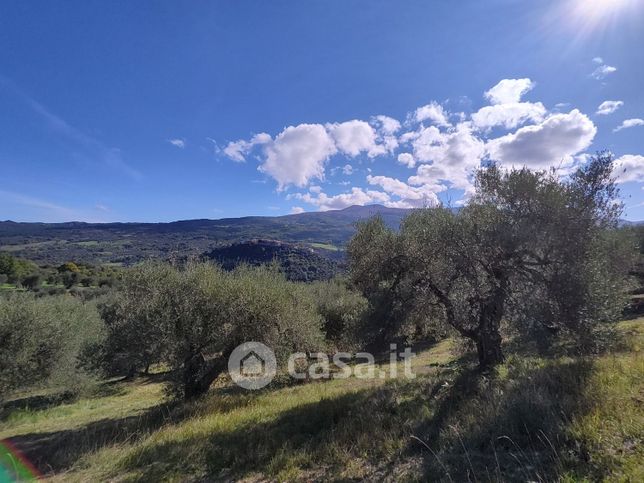 Terreno agricolo in commerciale in 