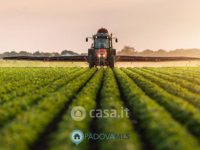 Terreno agricolo in commerciale in Quartiere della Fornace