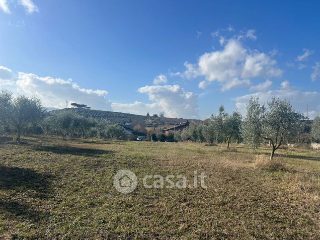 Terreno agricolo in commerciale in Via Colle Mozzo