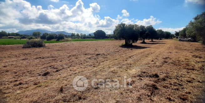 Terreno agricolo in commerciale in Via Biserno