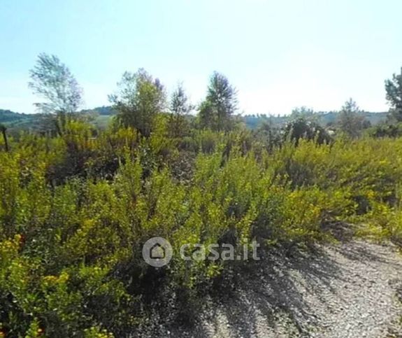 Terreno agricolo in commerciale in Via Erideo Marinucci