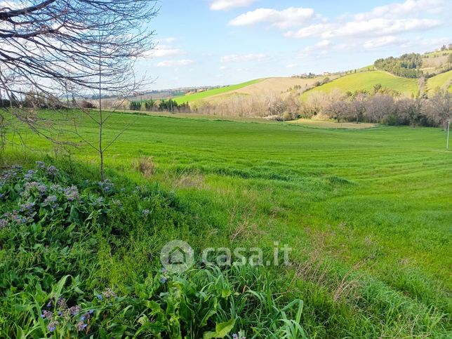 Terreno agricolo in commerciale in Contrada Santa Maria in Selva