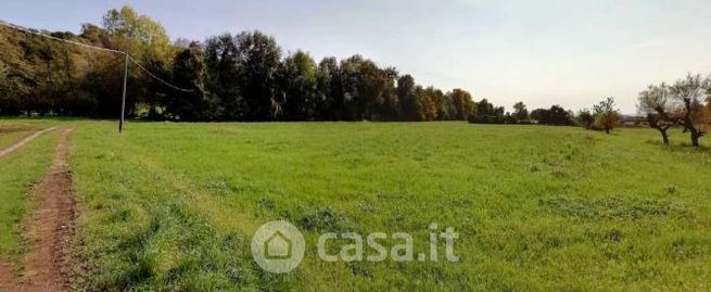 Terreno agricolo in commerciale in Borgo Santa Maria