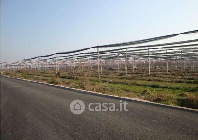 Terreno agricolo in commerciale in Strada dell'Alpo 0 s.n.c.