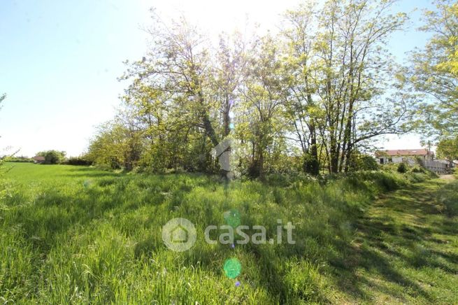 Terreno agricolo in commerciale in Via Dandolo 1