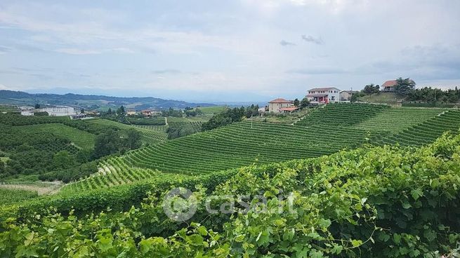 Terreno agricolo in commerciale in Via Monchiero