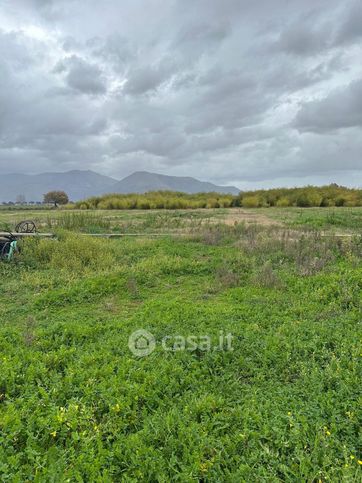 Terreno agricolo in commerciale in Strada della Striscia