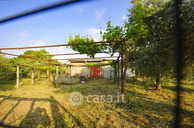Terreno agricolo in commerciale in Via Castagnole di Sotto