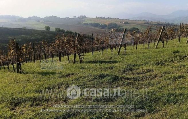 Terreno agricolo in commerciale in Via Sant'Angelo