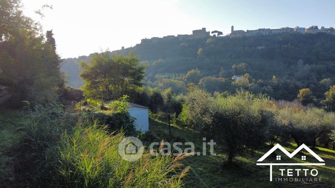 Terreno agricolo in commerciale in Vocabolo Treio