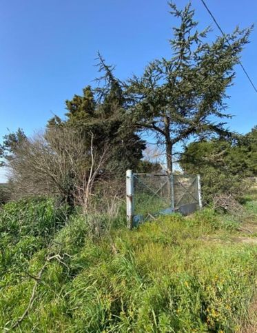Terreno agricolo in commerciale in Via Manfredonia