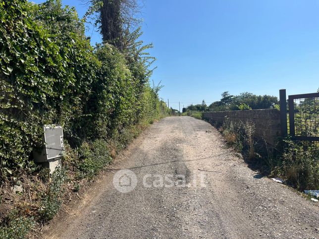 Terreno agricolo in commerciale in Via Appia Nuova Vecchia Sede