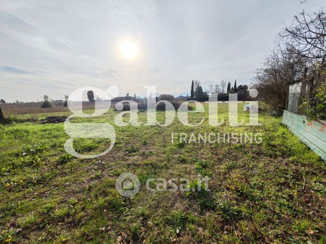 Terreno agricolo in commerciale in Via Alberto Profeti