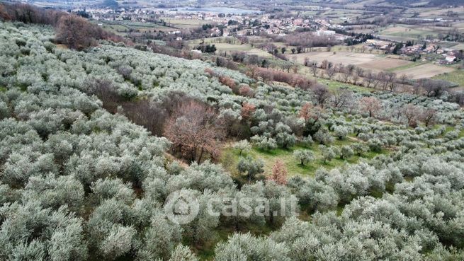 Terreno agricolo in commerciale in Località Roveto