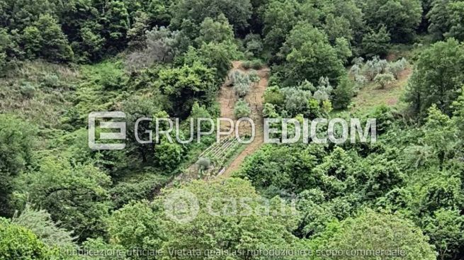 Terreno agricolo in commerciale in Contrada Laise